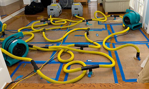 Professional Crawl Space Water Removal technician working in Pelham, GA